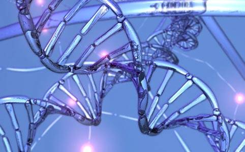 Blue Lynx norvegesi a Roma