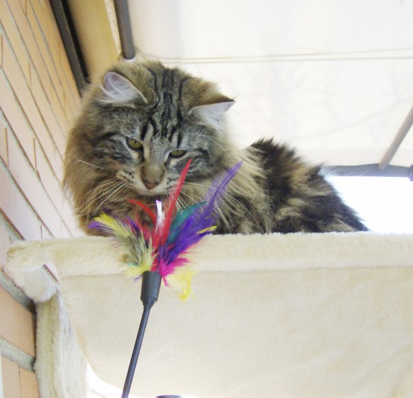 CH Aleidida de la Quebrada del Yuro