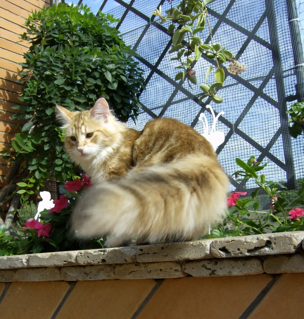 Snorre von der Gehlen Bieke Snorre von der Gehlen Bieke