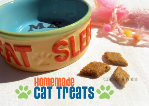 biscotti_per_gatti_5