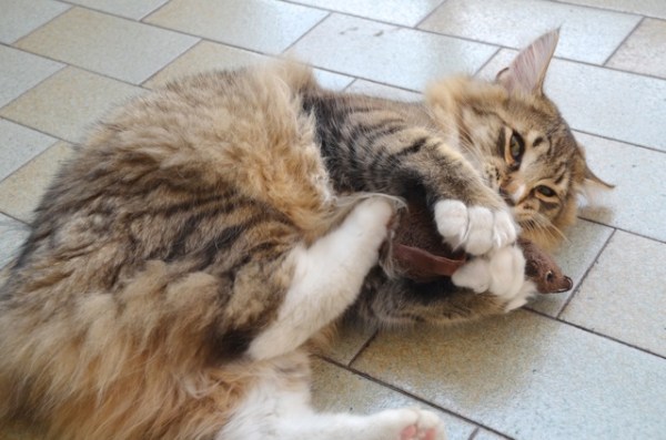 Blue Lynx Gael Monfils