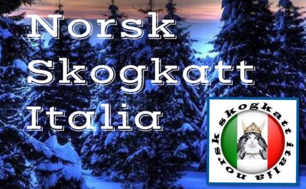 11115721_927213010656831_4596218708022065597_o